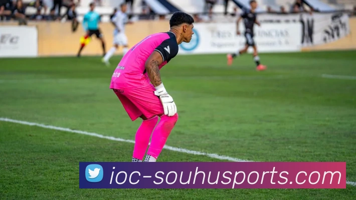 搜狐体育平台生态图